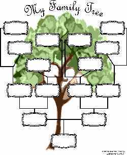 Family Tree Drawing